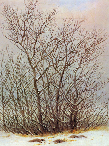 Árvores e arbustos na neve (Caspar David Friedrich) - Reprodução com Qualidade Museu