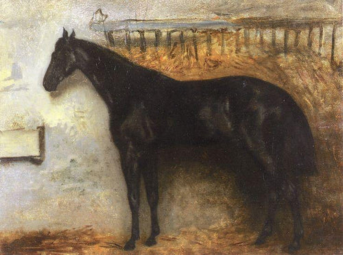 Cavalo Preto no Estábulo