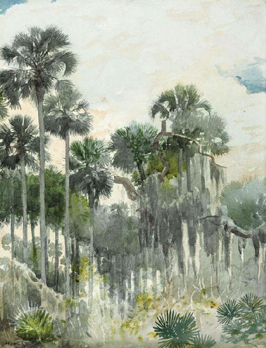 Selva da Flórida (Winslow Homer) - Reprodução com Qualidade Museu