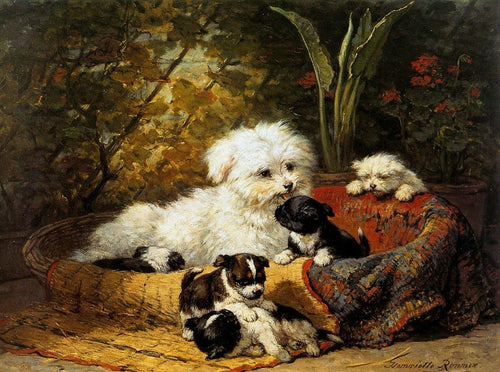 Um Cairn Terrier Com Filhotes (Henriette Ronner-Knip) - Reprodução com Qualidade Museu