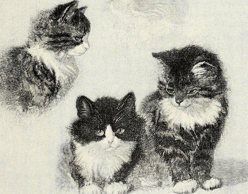 Estudo de quatro gatinhos (Henriette Ronner-Knip) - Reprodução com Qualidade Museu