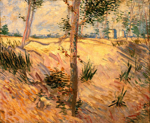 Troncos de árvore à luz do sol (Vincent Van Gogh) - Reprodução com Qualidade Museu