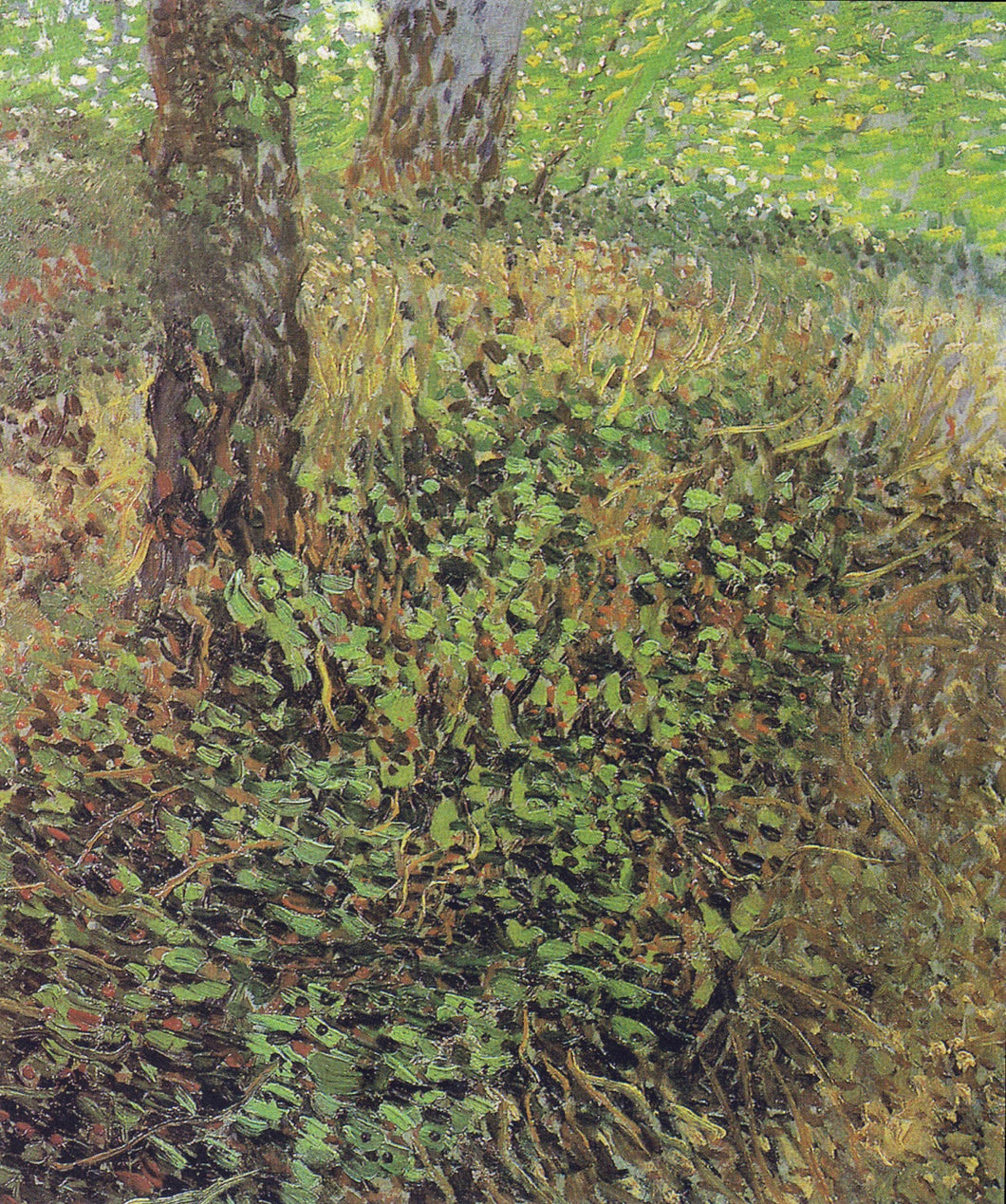 Vegetação rasteira (Vincent Van Gogh) - Reprodução com Qualidade Museu