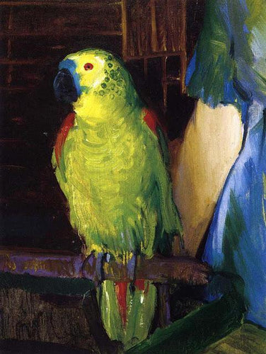 Papagaio (George Bellows) - Reprodução com Qualidade Museu