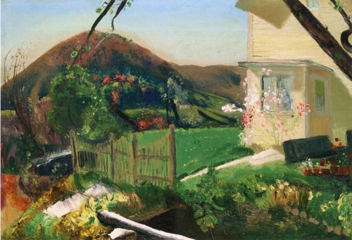 The Front Yard (George Bellows) - Reprodução com Qualidade Museu