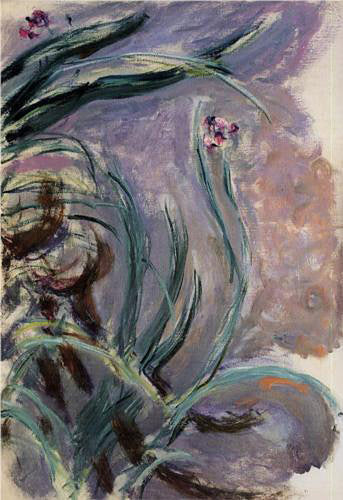 Íris (Claude Monet) - Reprodução com Qualidade Museu