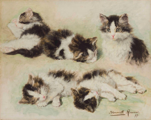 Estudos de gatinhos (Henriette Ronner-Knip) - Reprodução com Qualidade Museu
