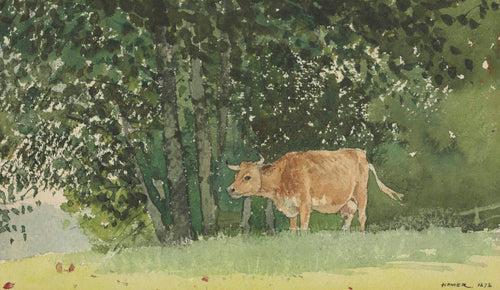 Vaca no pasto (Winslow Homer) - Reprodução com Qualidade Museu