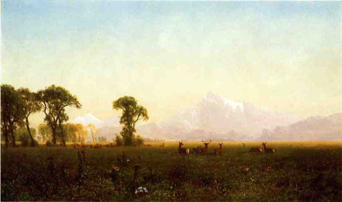 Deer Grazing, Grand Tetons, Wyoming (Albert Bierstadt) - Reprodução com Qualidade Museu