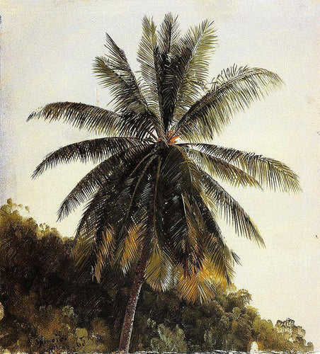 Palmeiras, Índias Ocidentais (Frederic Edwin Church) - Reprodução com Qualidade Museu