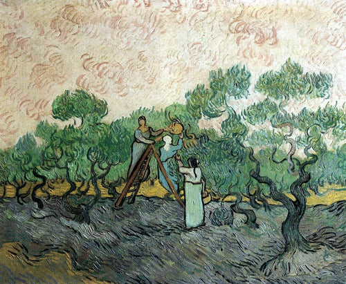 Colheita da azeitona (Vincent Van Gogh) - Reprodução com Qualidade Museu