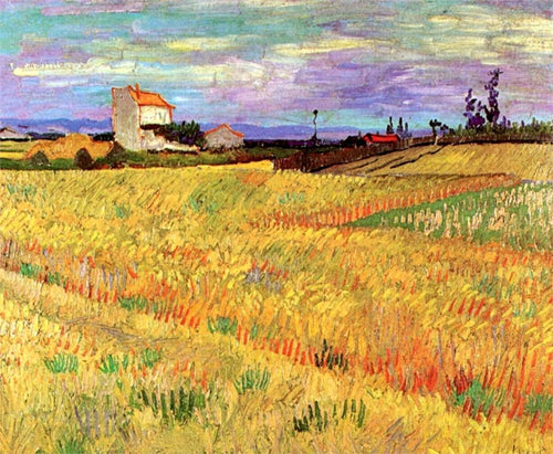 Campo de trigo (Vincent Van Gogh) - Reprodução com Qualidade Museu