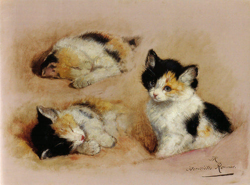 Estudos de gatinhos (Henriette Ronner-Knip) - Reprodução com Qualidade Museu