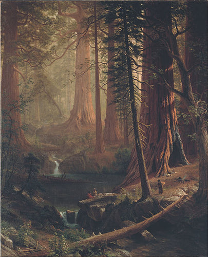Redwoods gigantes da Califórnia (Albert Bierstadt) - Reprodução com Qualidade Museu
