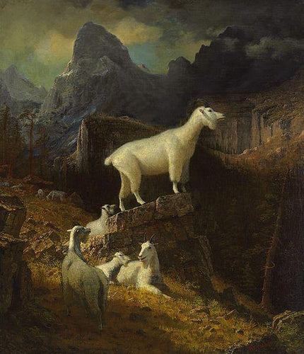 Rocky Mountain Goats (Albert Bierstadt) - Reprodução com Qualidade Museu