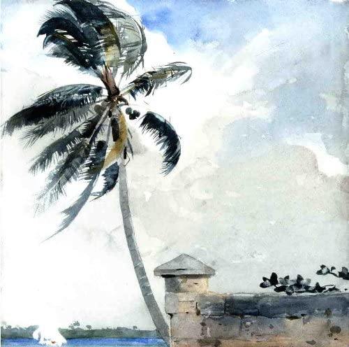 A Tropical Breeze, Nassau (Winslow Homer) - Reprodução com Qualidade Museu