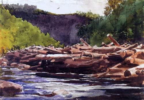 Rio Hudson em Blue Ledge, Condado de Essex (Winslow Homer) - Reprodução com Qualidade Museu