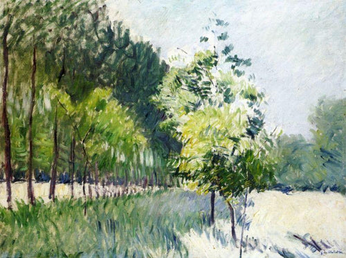 Pista delimitada por árvores (Gustave Caillebotte) - Reprodução com Qualidade Museu