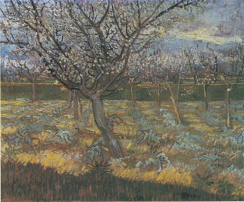 Pomar florido com árvores de damasco (Vincent Van Gogh) - Reprodução com Qualidade Museu