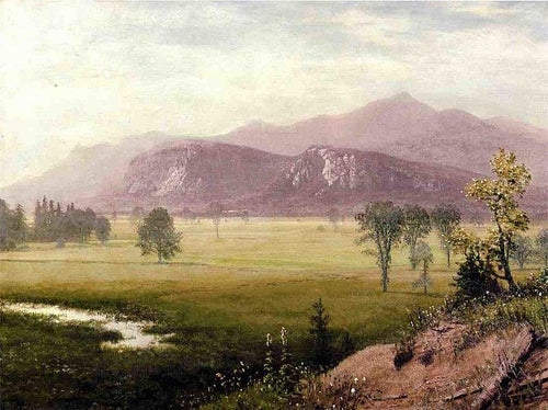 Conway Meadows, New Hampshire (Albert Bierstadt) - Reprodução com Qualidade Museu