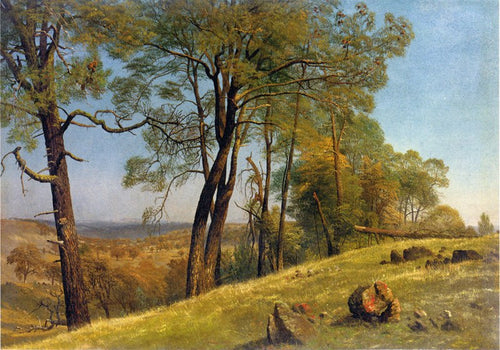Paisagem, Condado de Rockland, Califórnia (Albert Bierstadt) - Reprodução com Qualidade Museu