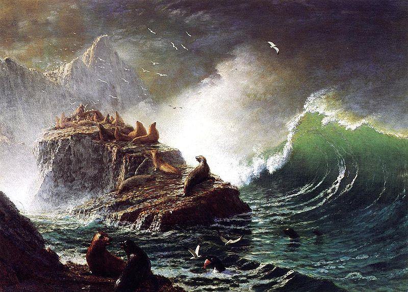 Focas nas rochas, Ilhas Farallon (Albert Bierstadt) - Reprodução com Qualidade Museu