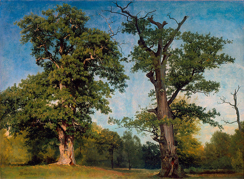 Pioneiros da floresta (Albert Bierstadt) - Reprodução com Qualidade Museu