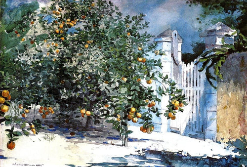 Laranjeira, Nassau (Winslow Homer) - Reprodução com Qualidade Museu