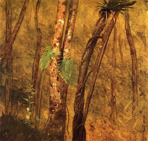 Estudo de Plantas, Jamaica, Índias Ocidentais (Frederic Edwin Church) - Reprodução com Qualidade Museu