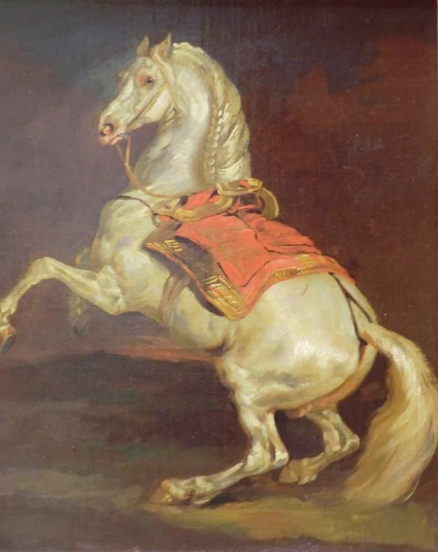 Estudo de um cavalo de criação, anteriormente chamado de Tamerlan, o cavalo Emperos