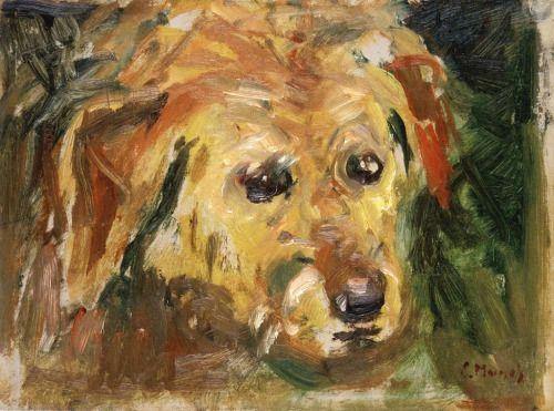 Cara de cachorro (Edvard Munch) - Reprodução com Qualidade Museu