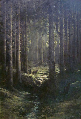 Floresta no Crepúsculo