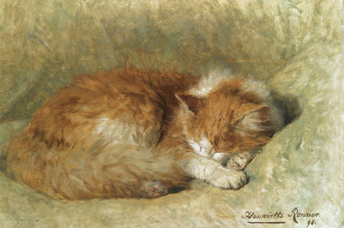 Gato dormindo (Henriette Ronner-Knip) - Reprodução com Qualidade Museu