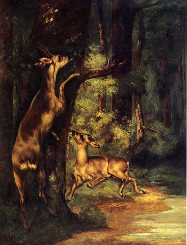 Cervos machos e fêmeas na floresta