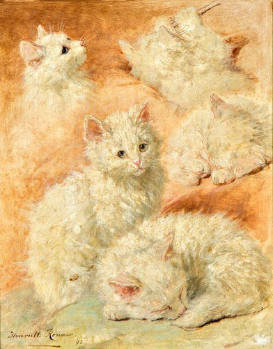 Estudos de um gato (Henriette Ronner-Knip) - Reprodução com Qualidade Museu