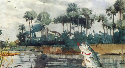 Black Bass (Winslow Homer) - Reprodução com Qualidade Museu