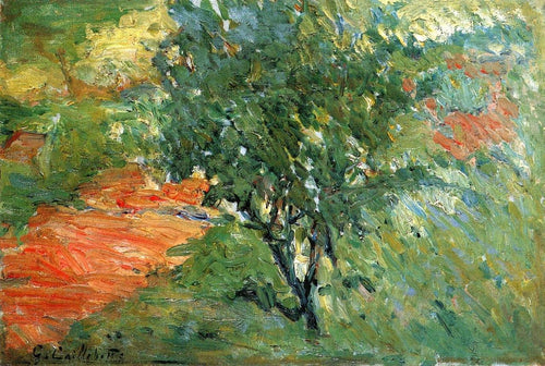 Tree By A Trail (Gustave Caillebotte) - Reprodução com Qualidade Museu