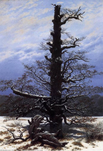 O carvalho na neve (Caspar David Friedrich) - Reprodução com Qualidade Museu