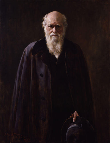 Charles Robert Darwin (John Collier) - Reprodução com Qualidade Museu