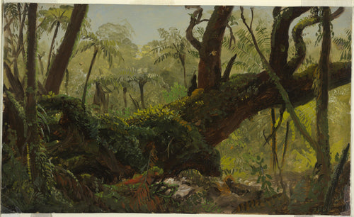 Floresta tropical, Jamaica, Índias Ocidentais (Frederic Edwin Church) - Reprodução com Qualidade Museu