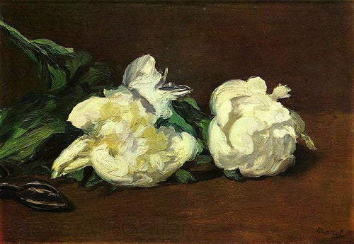 Still Life White Peonies (Edouard Manet) - Reprodução com Qualidade Museu