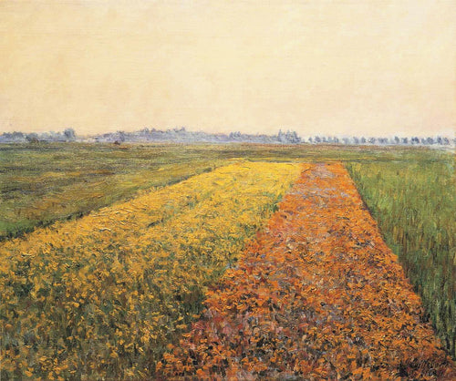 Os campos amarelos em Gennevilliers (Gustave Caillebotte) - Reprodução com Qualidade Museu