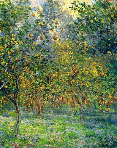 Sob os limoeiros (Claude Monet) - Reprodução com Qualidade Museu
