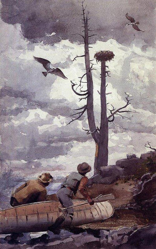 Ospreys Nest (Winslow Homer) - Reprodução com Qualidade Museu