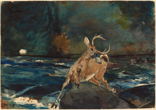 A Good Shot Adirondacks (Winslow Homer) - Reprodução com Qualidade Museu