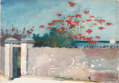 A Wall, Nassau (Winslow Homer) - Reprodução com Qualidade Museu