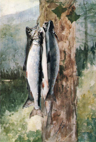 Adirondack Catch (Winslow Homer) - Reprodução com Qualidade Museu