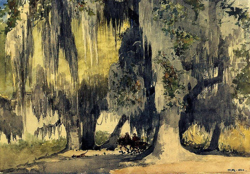 Live Oaks (Winslow Homer) - Reprodução com Qualidade Museu
