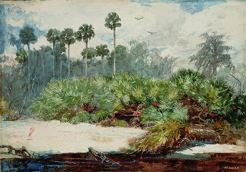 Em uma selva da Flórida (Winslow Homer) - Reprodução com Qualidade Museu