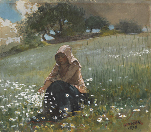 Menina e margaridas (Winslow Homer) - Reprodução com Qualidade Museu